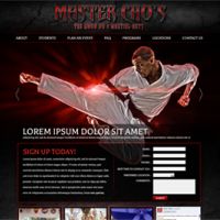 Master Chos Martial Arts 2